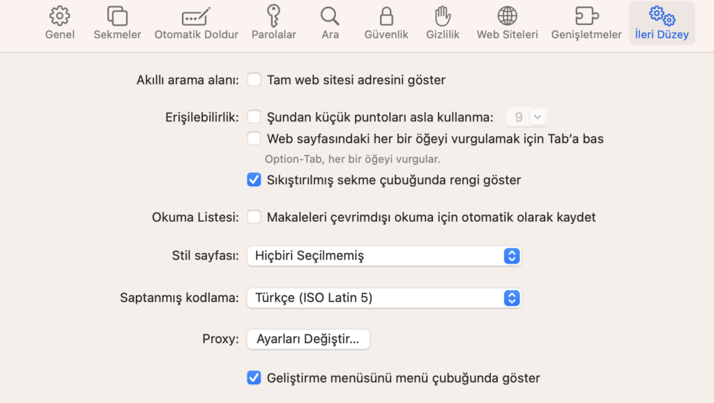 Safari İleri Düzey menüsü